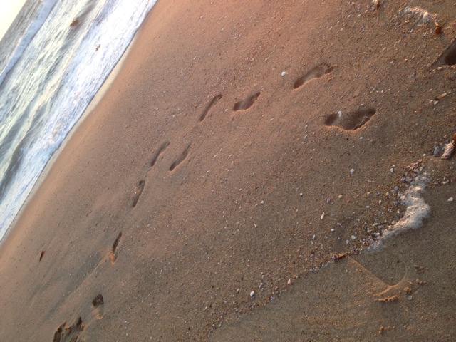 beach